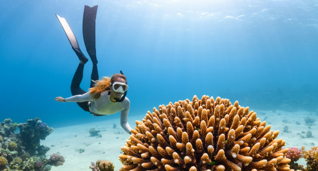 reef snorkeling key west